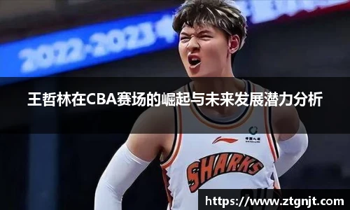 王哲林在CBA赛场的崛起与未来发展潜力分析